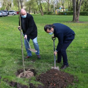 Na zdjęciu - dr Paweł Trefler, prof. PWSW oraz Kanclerz - Tomasz J. Filozof podczas sadzenia drzew