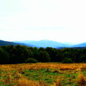 Na zdjęciu krajobraz jesienny - ujęcie lasu i gór