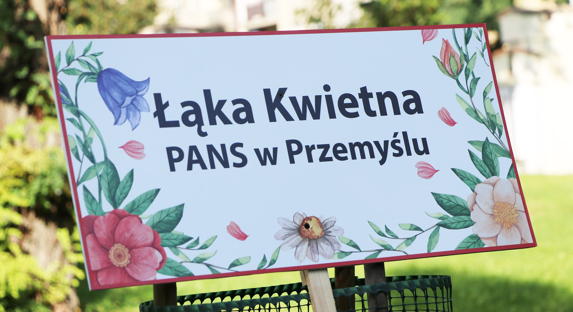 PANS kiełkuje, czyli sadzenie Kwietnej Łąki w Parku Lubomirskich